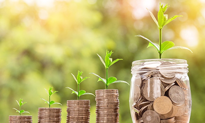 plants growing out of money